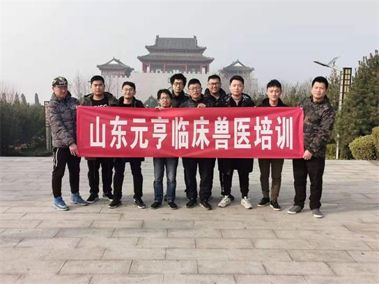 想當(dāng)獸醫(yī)要學(xué)什么？   
