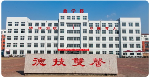 德州計算機學校都學什么？