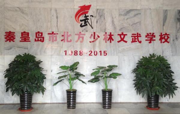秦皇島北方少林文武學校就業如何？這答案你放心！