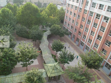 河北省科技工程學校有哪些專業可以選擇？